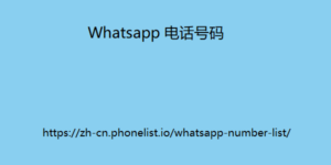 Whatsapp 电话号码