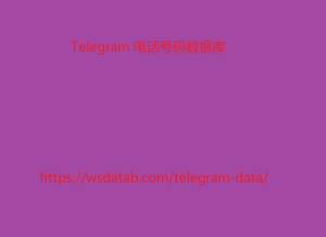 Telegram 电话号码数据库